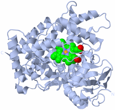 Image Biological Unit 1