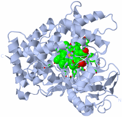 Image Biol. Unit 1 - sites