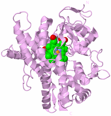 Image Biological Unit 5