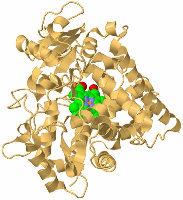 Image Biological Unit 7