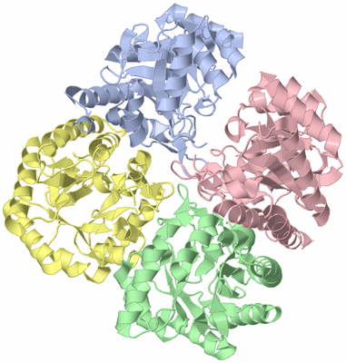 Image Asym./Biol. Unit