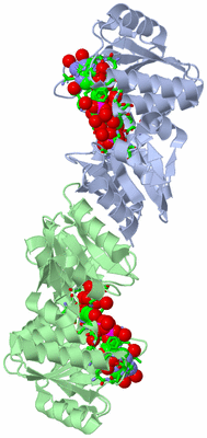 Image Asym./Biol. Unit - sites