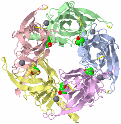 Image Biological Unit 1