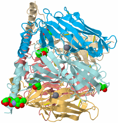 Image Biological Unit 2