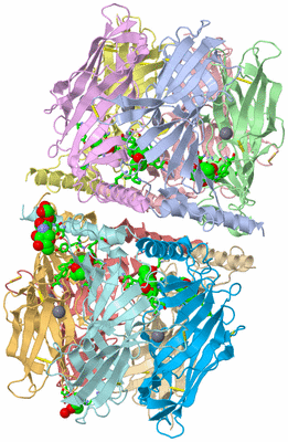 Image Asym. Unit - sites