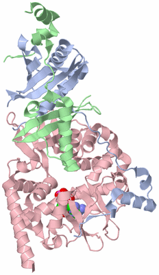 Image Asym./Biol. Unit