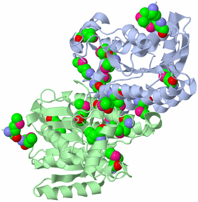 Image Biological Unit 2