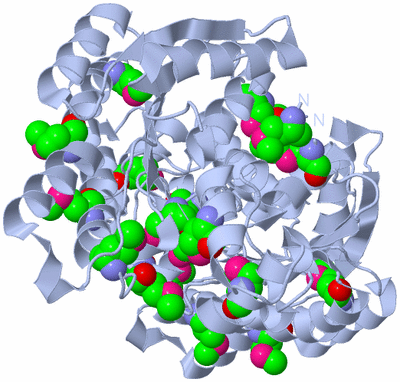 Image Biological Unit 3