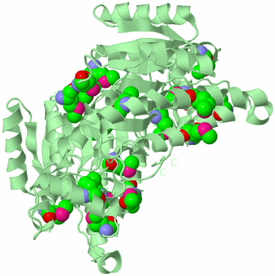 Image Biological Unit 4