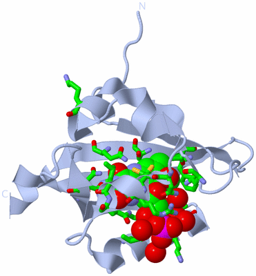 Image Biol. Unit 1 - sites