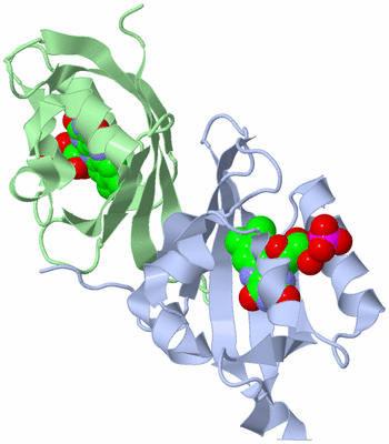 Image Biological Unit 3