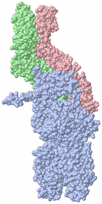 Image Biological Unit 1