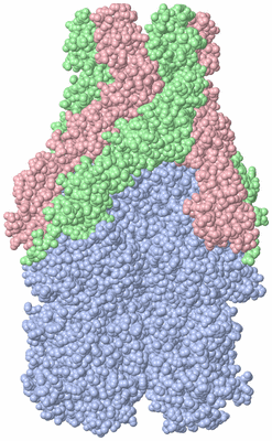 Image Biological Unit 2