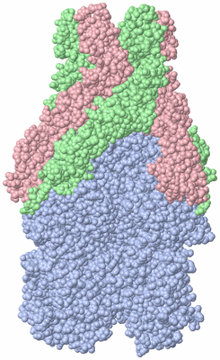 Image Biological Unit 2