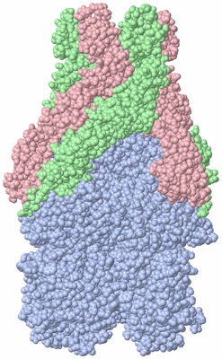 Image Biological Unit 2