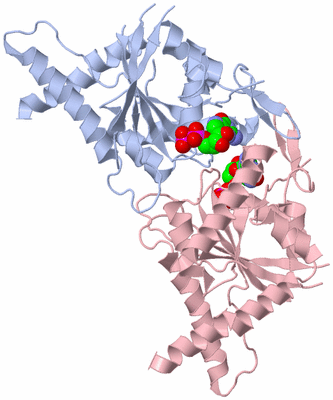 Image Asym./Biol. Unit