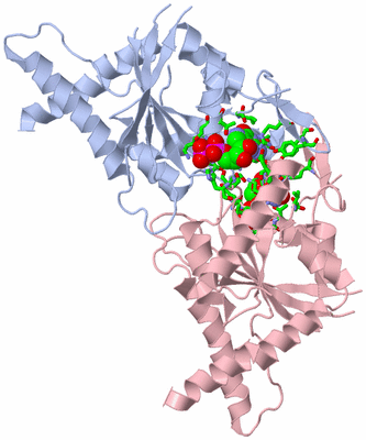 Image Asym./Biol. Unit - sites