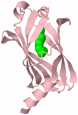 Image Biological Unit 3