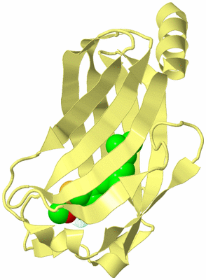 Image Biological Unit 4