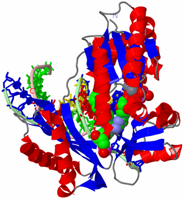 Image Asym./Biol. Unit