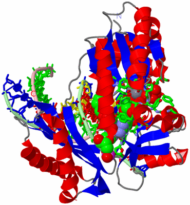 Image Asym./Biol. Unit - sites