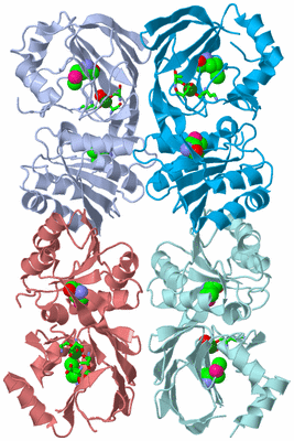 Image Biol. Unit 1 - sites