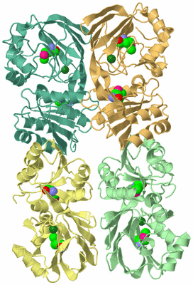 Image Biological Unit 2