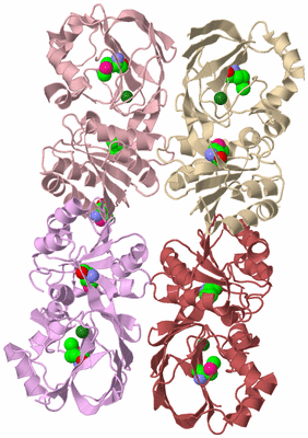 Image Biological Unit 3