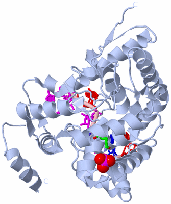 Image Biol. Unit 1 - sites