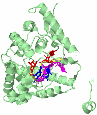 Image Biological Unit 2