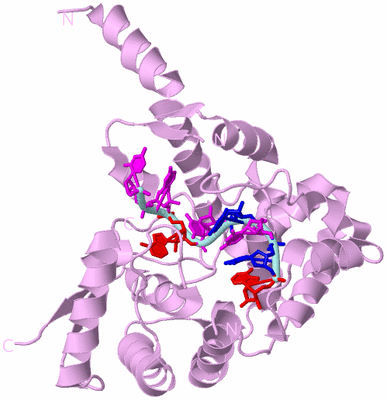 Image Biological Unit 3