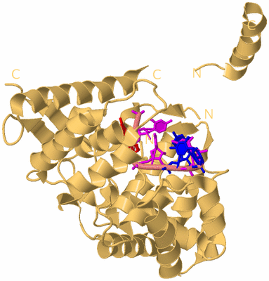 Image Biological Unit 4