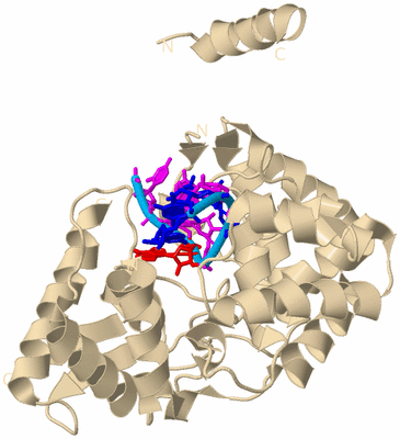 Image Biological Unit 5