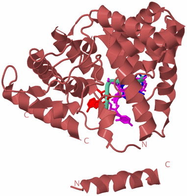 Image Biological Unit 6