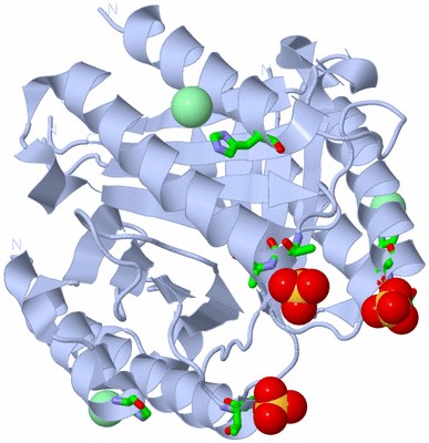 Image Biol. Unit 1 - sites