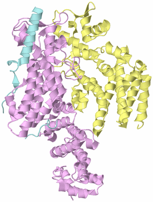 Image Biological Unit 2