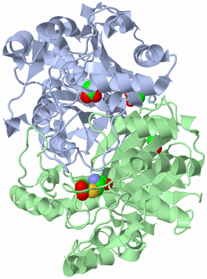 Image Asym./Biol. Unit