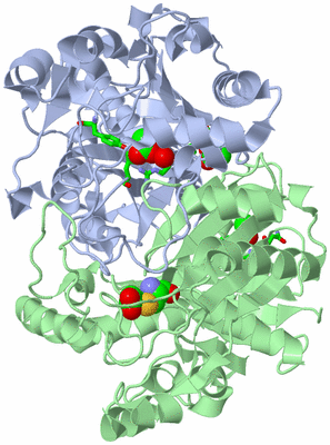 Image Asym./Biol. Unit - sites