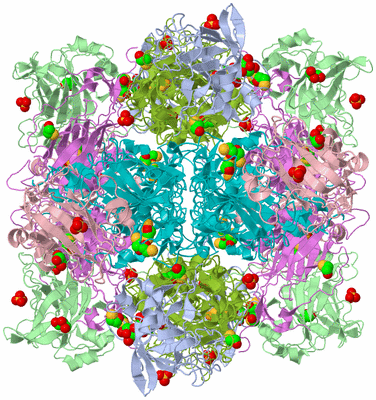 Image Biological Unit 1