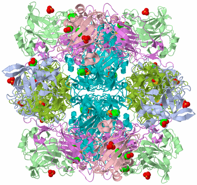 Image Biological Unit 1