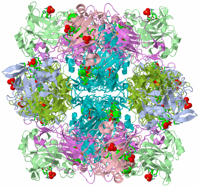 Image Biol. Unit 1 - sites