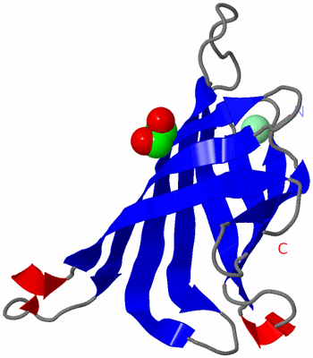 Image Asymmetric Unit