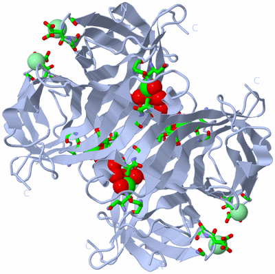 Image Biol. Unit 1 - sites