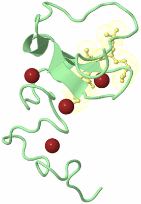 Image Biological Unit 2