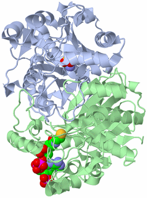 Image Asym./Biol. Unit