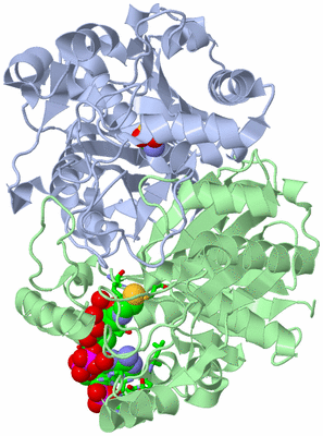 Image Asym./Biol. Unit - sites