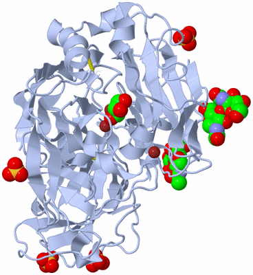 Image Biological Unit 1