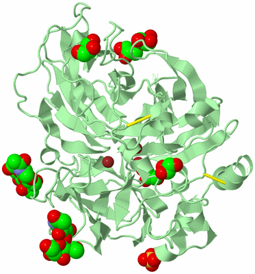 Image Biological Unit 2