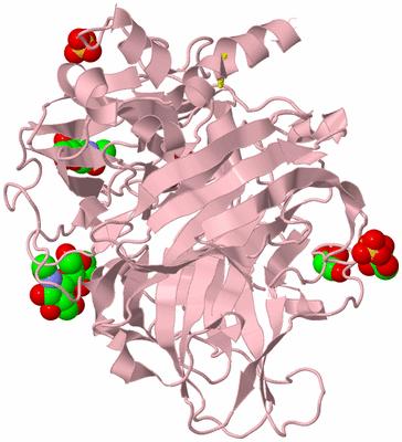 Image Biological Unit 3