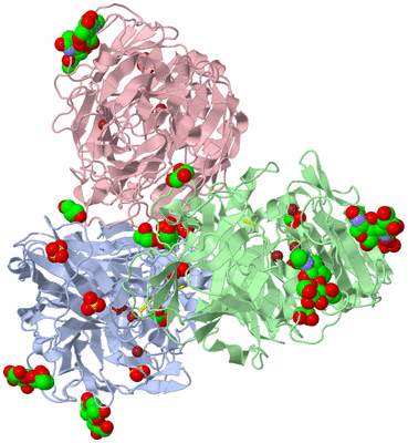 Image Biological Unit 4